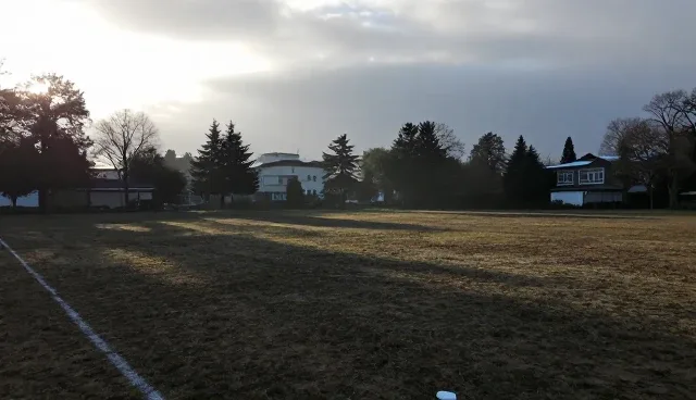 在线咨询服务在限制条件下的适用场景分析